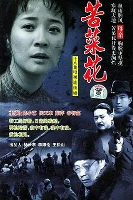 《苦菜花》2004：岁月洗礼下的农村变迁与坚韧生命力，经典年代剧的温情回望